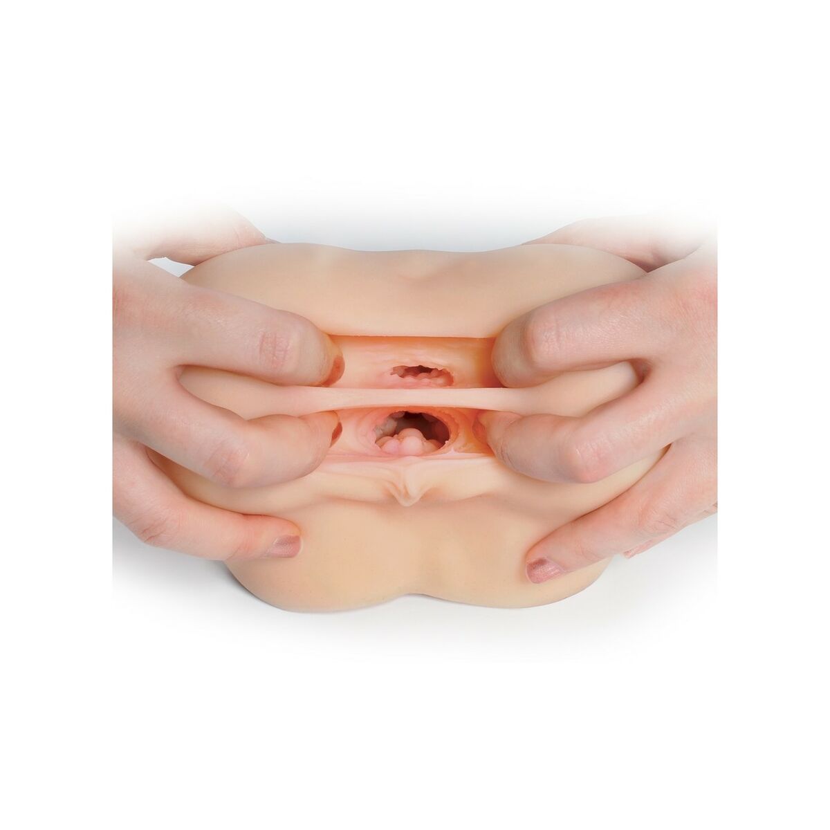 V5H35C5FD346596827A96A289F3AB8FD331R5116289P5