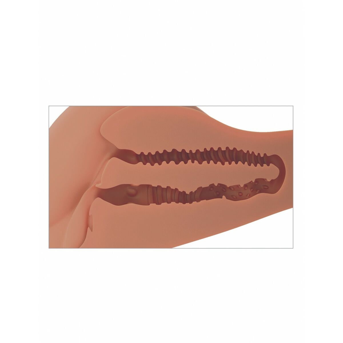 V5HDA00904BAC0671D7614726A60322978CR5111720P7