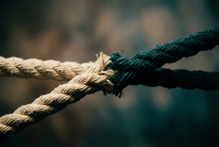 Premium bondage and Shibari ropes, featuring soft cotton and natural jute textures, styled in an artistic and safe setting.