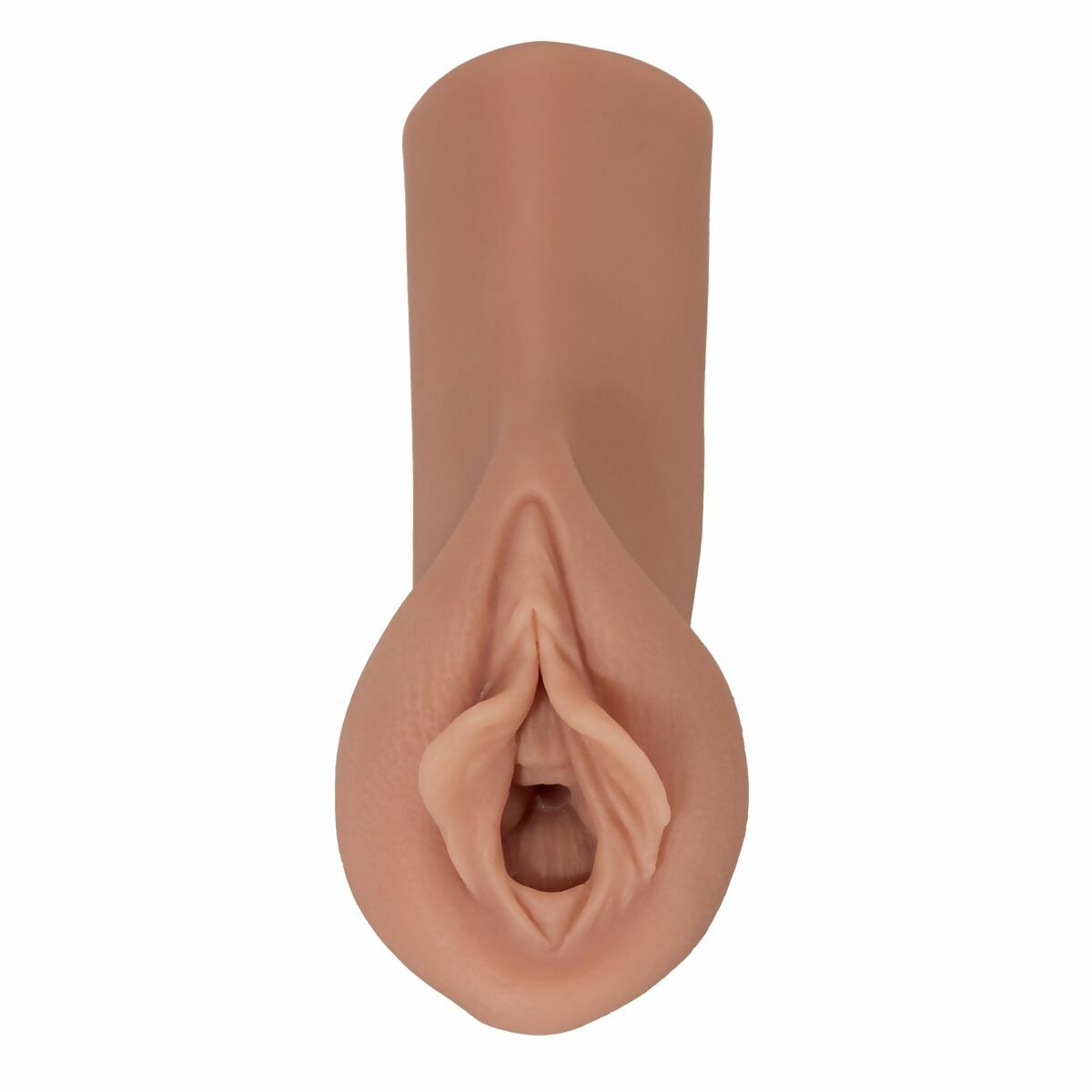 V5HAAA2EE49E1132593DD5886849FFCC733R5116385P1