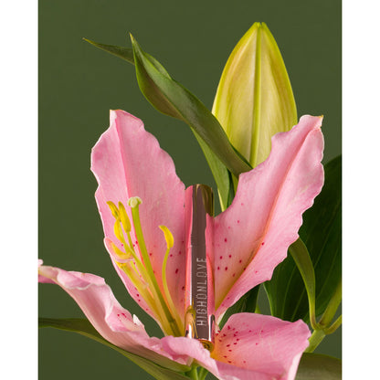 V4H29A280FA72B308076363A8E0D82C0F93R5547587P5