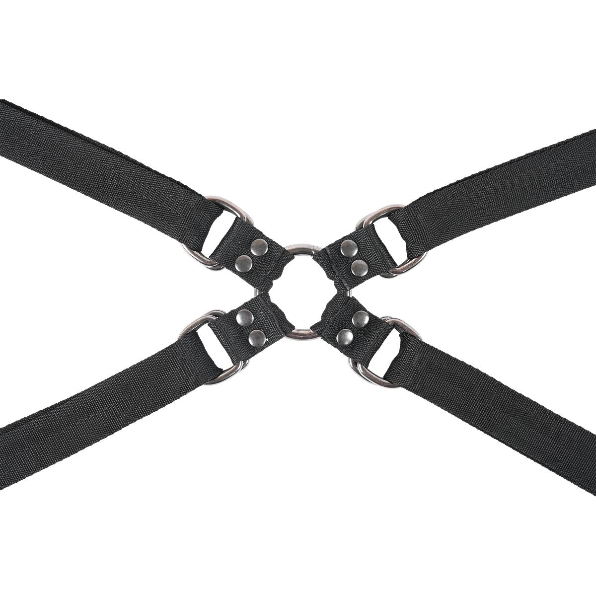 V4HC38553DBFDE2E952131BD9076164C4D3R5679113P6