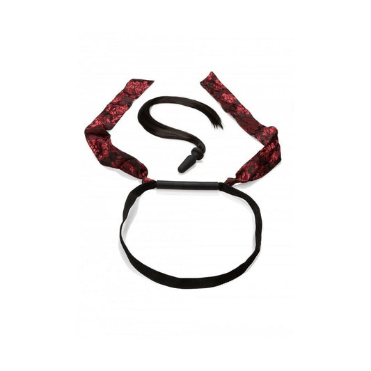 V5H7D22A811A9D11323C6D9864DE0C4F44DR4682981P1