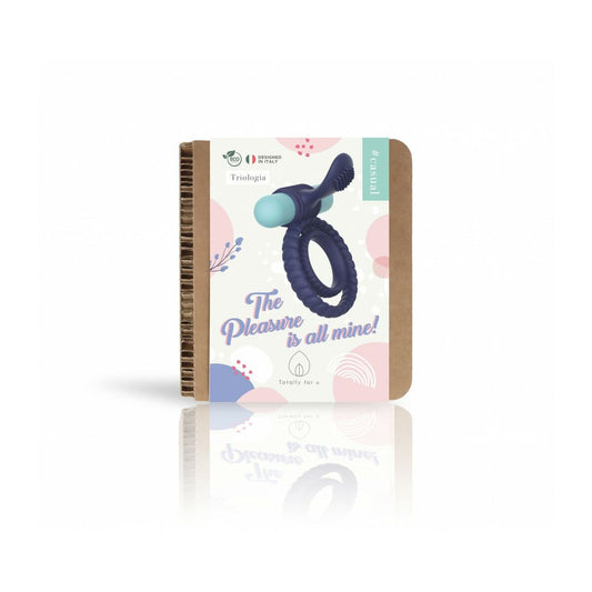 V5H62163AB1789F351D3AAA1F15D63AB28BR5578056P2