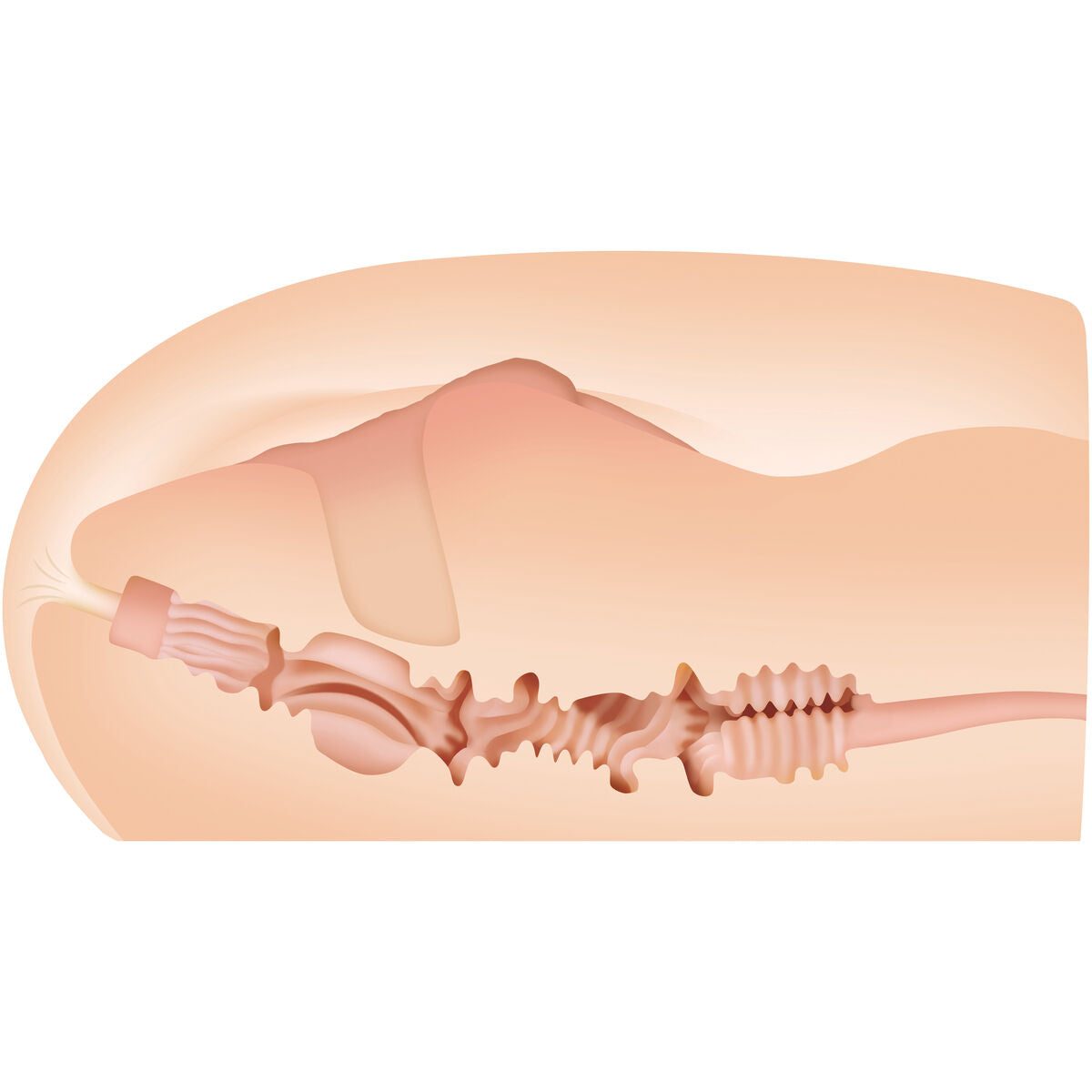 V5H4702F9DB2D700A319F06912E07599542R4903322P2