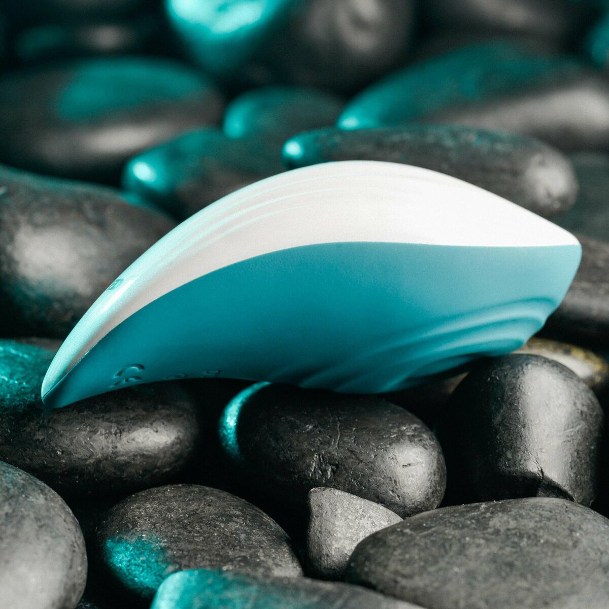 V5H8A221975E89B341DAB712AA4BD049D64R4864475P6