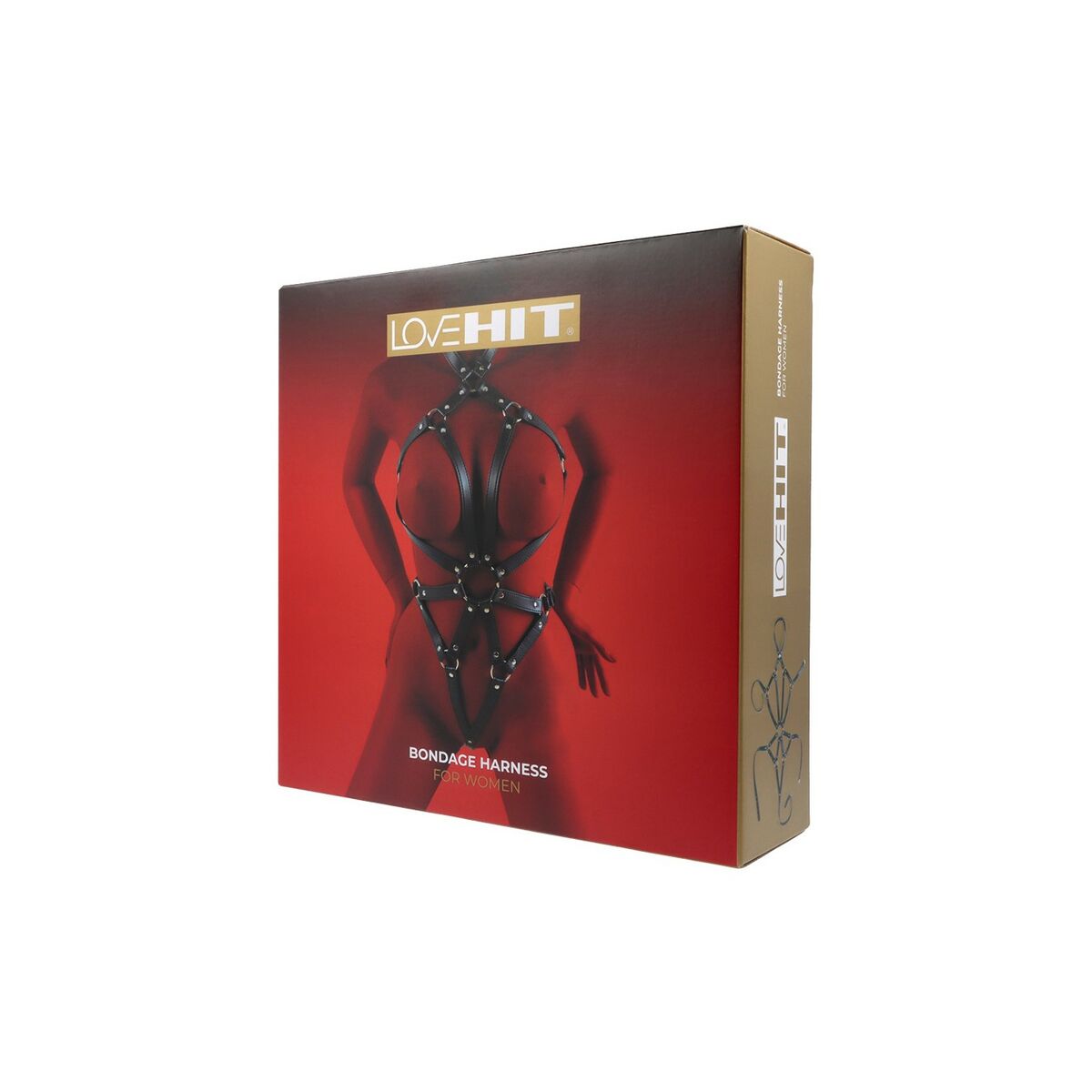 V3HE624ADD713419D34F13CD2E1FB2E158BR5571510P1