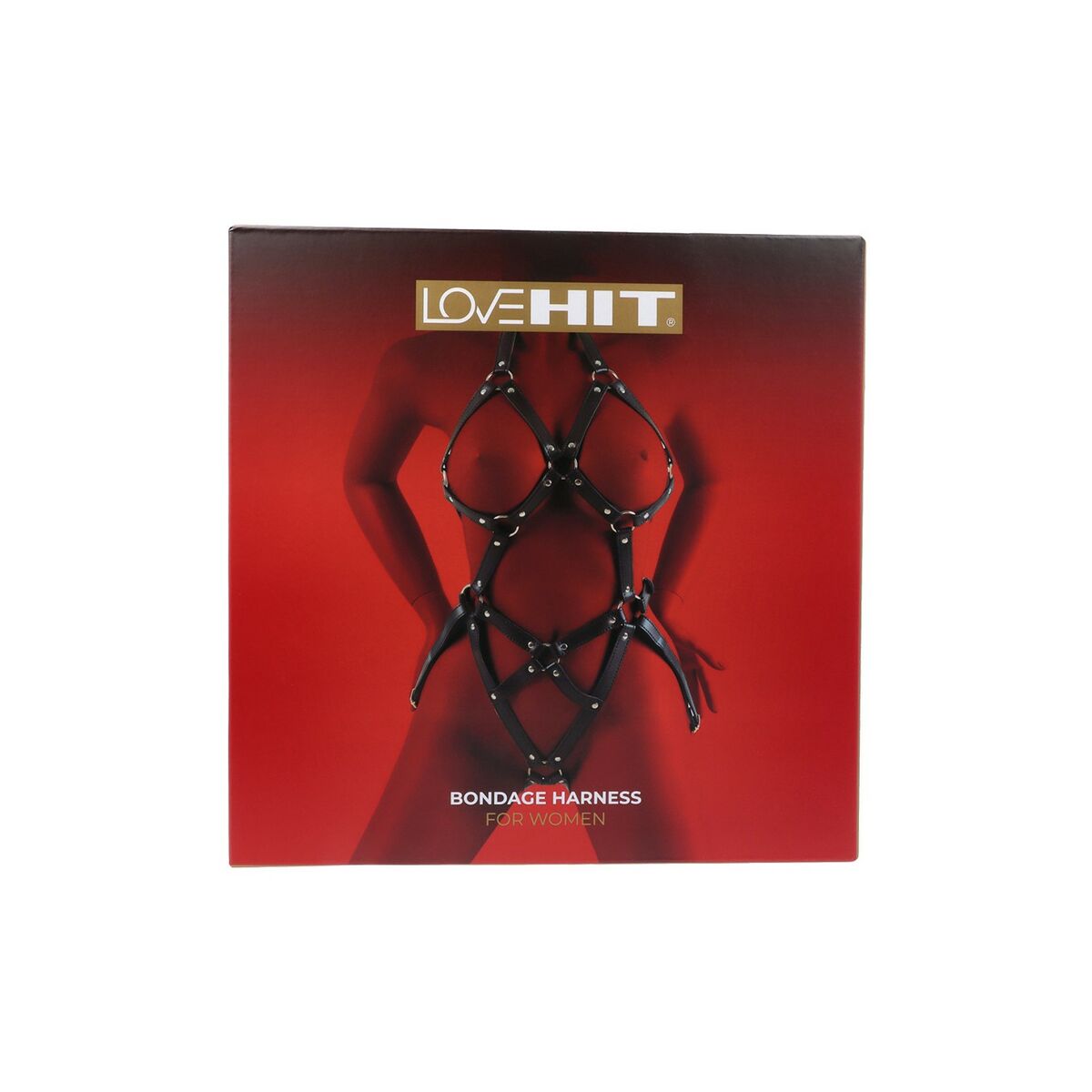 V4H19FB4367DC3DE533CC193EC450A0A1CAR5569268P1