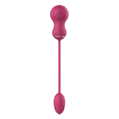 V5HAFE43786855D3F08C437B72B88CAA44ER4916100P6