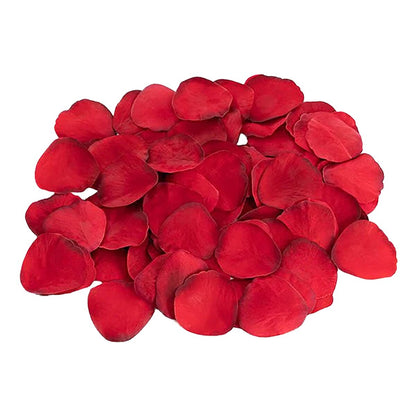 V4H4D73644255C1DC50229FAEE9A585DEBCR5547468P4