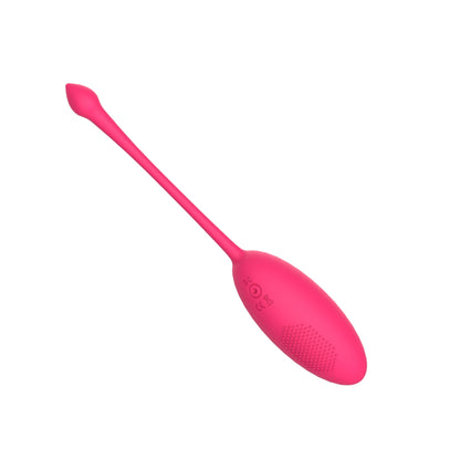 Mina Astral 10 Function Love Egg – Remote Controlled, USB Rechargeable