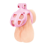 Blue Line Small Pink Acrylic Prisoner Cock Cage