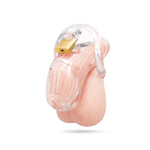 Blue Line 2 Inch Acrylic See-Through Chastity Cock Cage