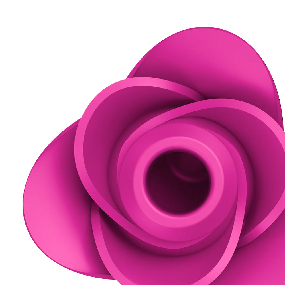Satisfyer Pro 2 Modern Blossom Rose